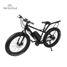 48V 750W 8fun Mid Drive Motor Big Power Fat Tire Electric Bicycle 2017